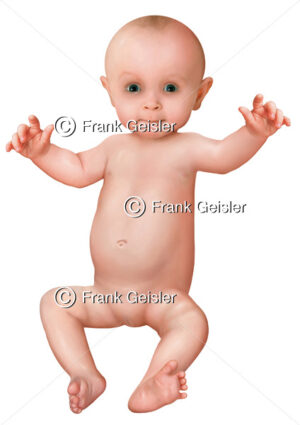 Baby (Säugling) nach der Geburt im ersten Lebensjahr - Medical Pictures