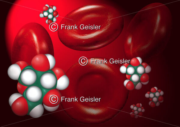 Biochemie Blutzucker, Glucose-Molekül Glukose im Blut - Medical Pictures