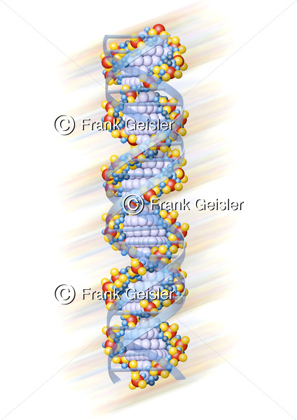 Genetik, Doppelhelix Moleküle mit Erbgut DNS DNA - Medical Pictures