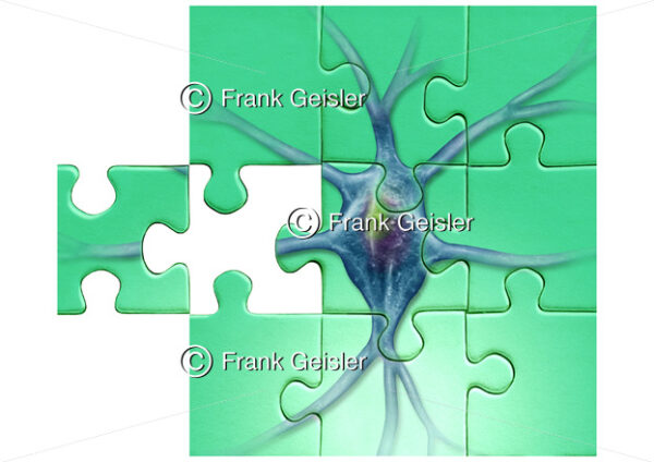 Puzzle mit Nervenzelle (Neuron), Symbol für Diagnostik in der Neurologie - Medical Pictures