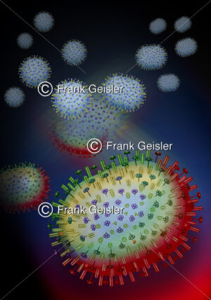 Vogelgrippe, Mutation Influenzavirus zu H5N1-Virus - Medical Pictures